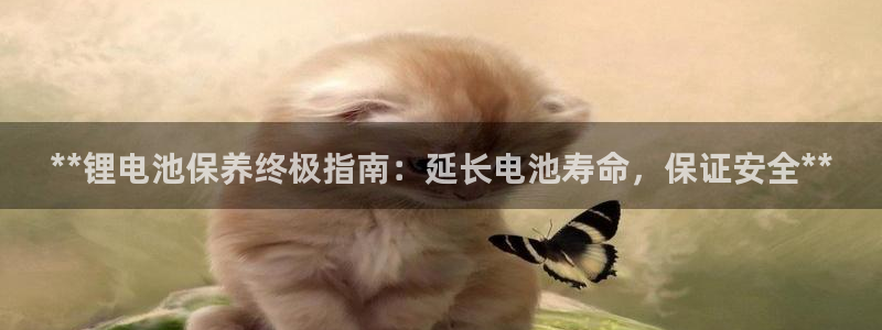 尊龙d88官网登录：**锂电池保养终极指南：延长电池寿命，保证安全**