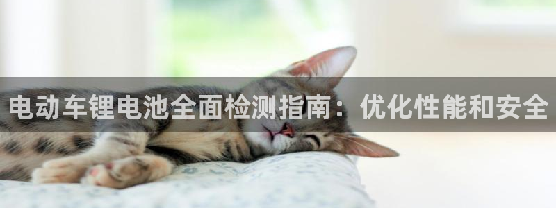 凯时国际app首页下载：电动车锂电池全面检测指南：优化性能和安全