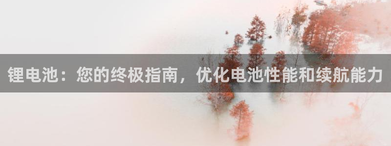凯时国际app首页下载：锂电池：您的终极指南，优化电池性能和续航能力