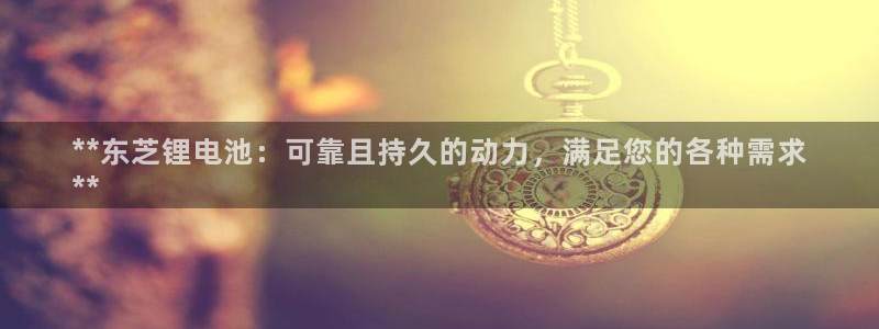 凯时登录首页,凯时K66：**东芝锂电池：可靠且持久的动力，满足您的各种需求
**