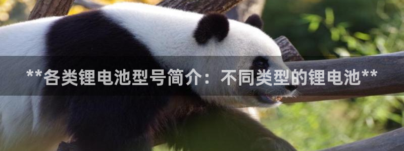 尊龙现金一下指导AG发财网：**各类锂电池型号简介：不同类型的锂电池**