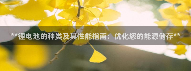 尊龙凯时产品种类
