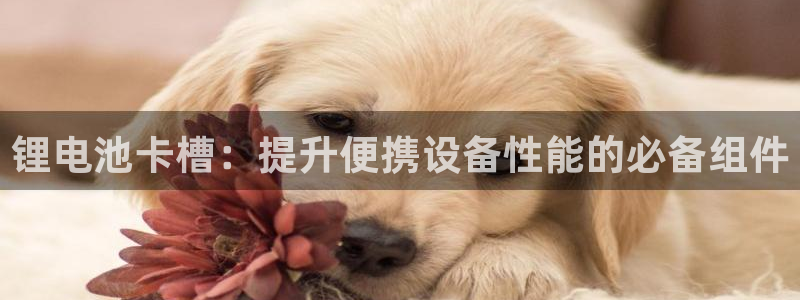 ZL尊龙凯时集团：锂电池卡槽：提升便携设备性能的必备组件