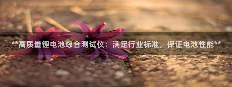 尊龙实业：**高质量锂电池综合测试仪：满足行业标准，保证电池性能**