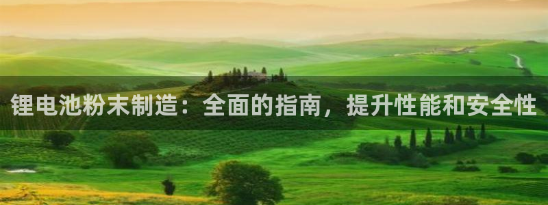 尊龙新版App下载：锂电池粉末制造：全面的指南，提升性能和安全性