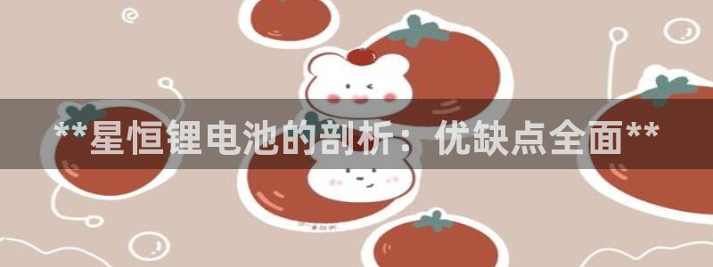 尊龙凯时口碑好吗：**星恒锂电池的剖析：优缺点全面**