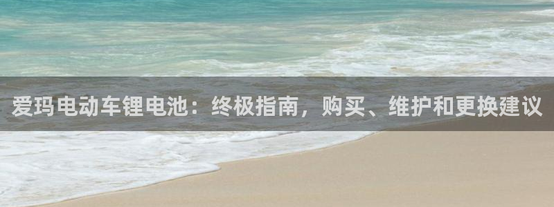 尊龙新版官网网页版：爱玛电动车锂电池：终极指南，购买、维护和更换建议