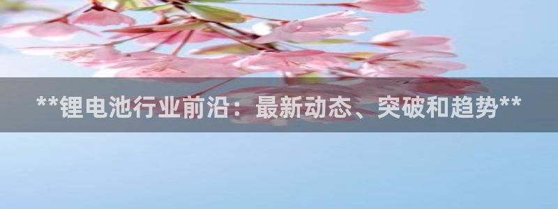 尊龙凯时白家乐Abb下载：**锂电池行业前沿：最新动态、突破和趋势**