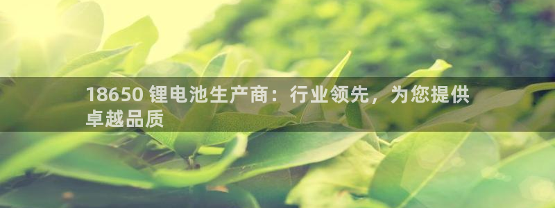 尊龙人生就是博用现金玩一下：18650 