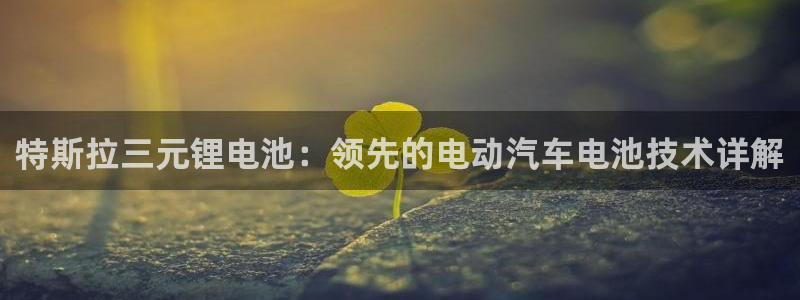 尊龙凯时返现